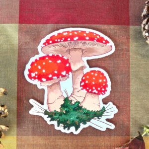 Fly Amanita Mushroom - Colorful Vinyl Sticker for Water Bottles, Laptops, Journals, or Scrapbooking